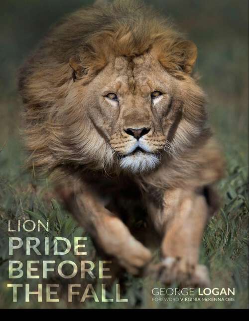 Book cover of Lion: Pride Before The Fall