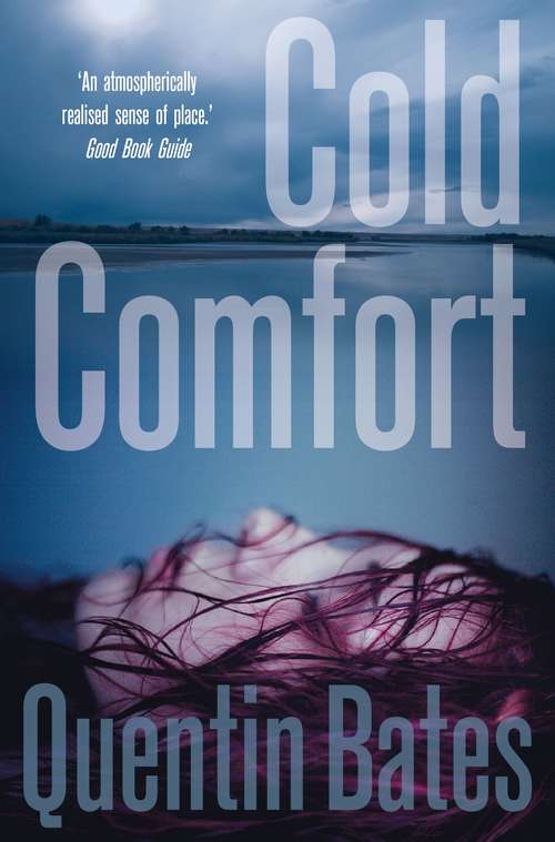 Book cover of Cold Comfort: An Officer Gunnhildur Mystery (Gunnhildur Mystery #2)