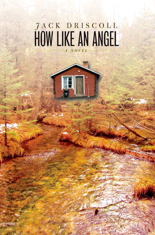 Book cover of How Like an Angel: A Novel (Sweetwater Fiction: Originals)