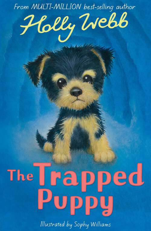 Book cover of The Trapped Puppy: 20 (Holly Webb Animal Stories #56)