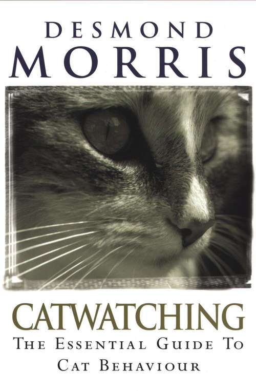 Book cover of Catwatching (Isis Large Print Ser.)