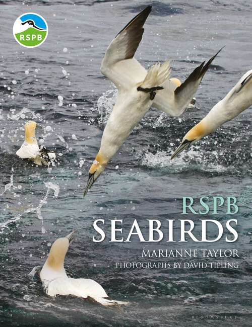 Book cover of RSPB Seabirds (RSPB)
