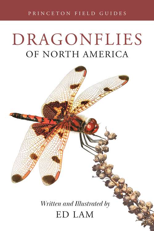 Book cover of Dragonflies of North America (Princeton Field Guides)