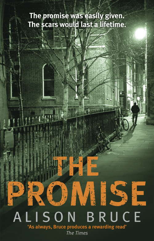 Book cover of The Promise (Dc Gary Goodhew Mystery Ser. #6)