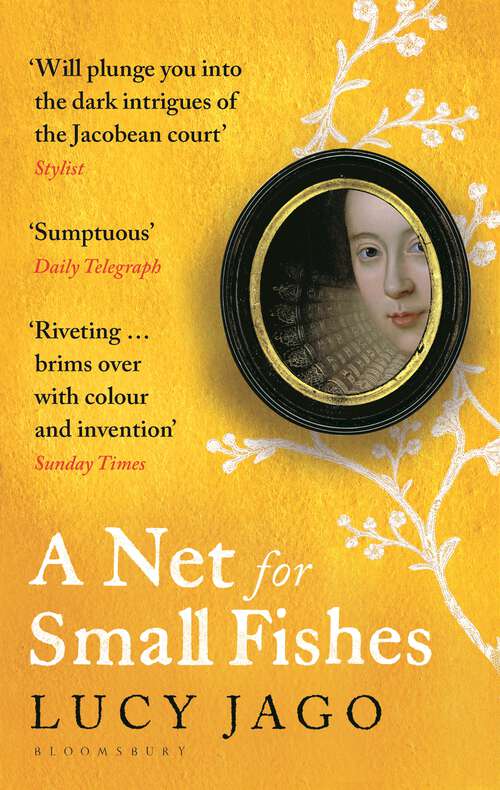 Book cover of A Net for Small Fishes