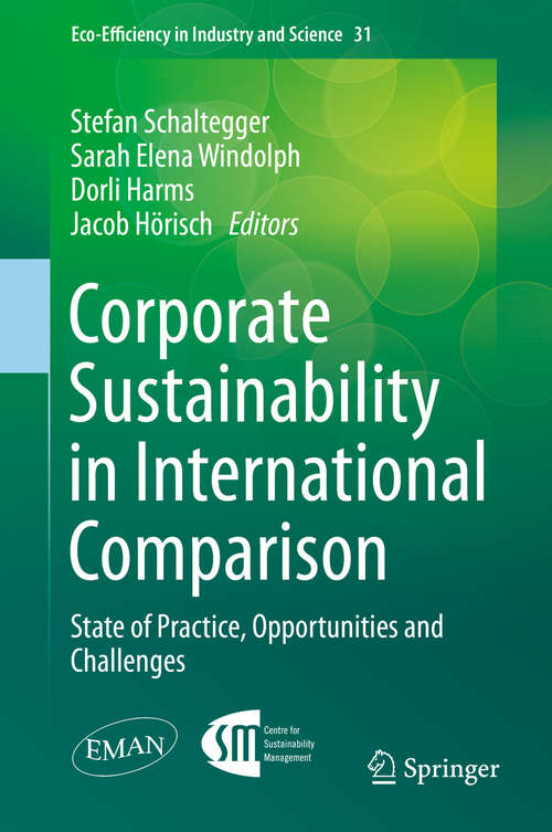 Book cover of Corporate Sustainability in International Comparison: State of Practice, Opportunities and Challenges (2014) (Eco-Efficiency in Industry and Science #31)