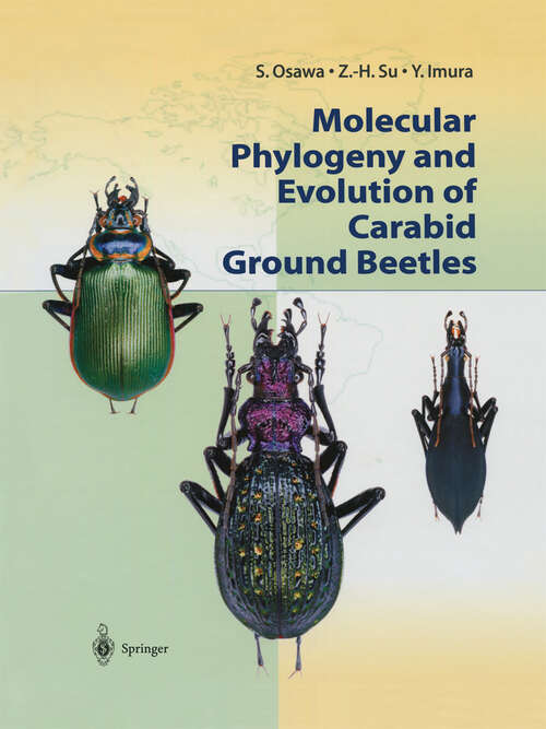 Book cover of Molecular Phylogeny and Evolution of Carabid Ground Beetles (2004)