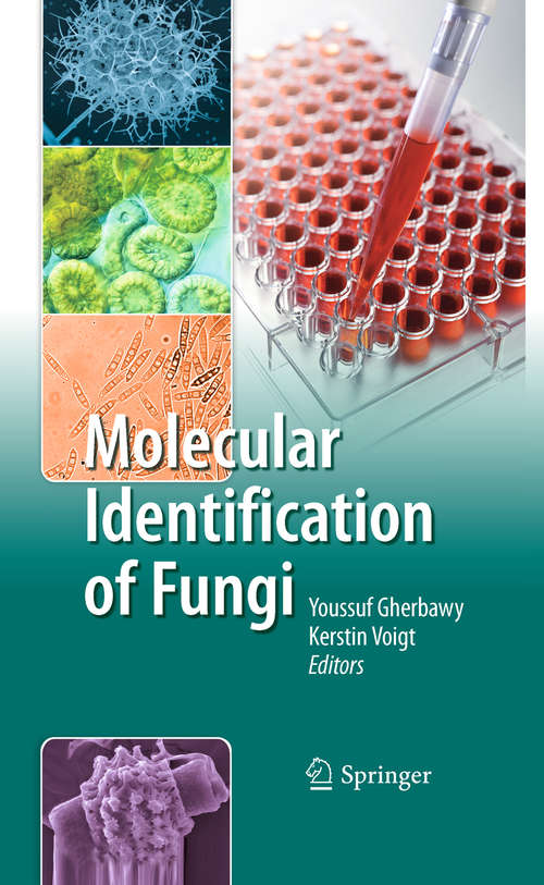 Book cover of Molecular Identification of Fungi (2010)