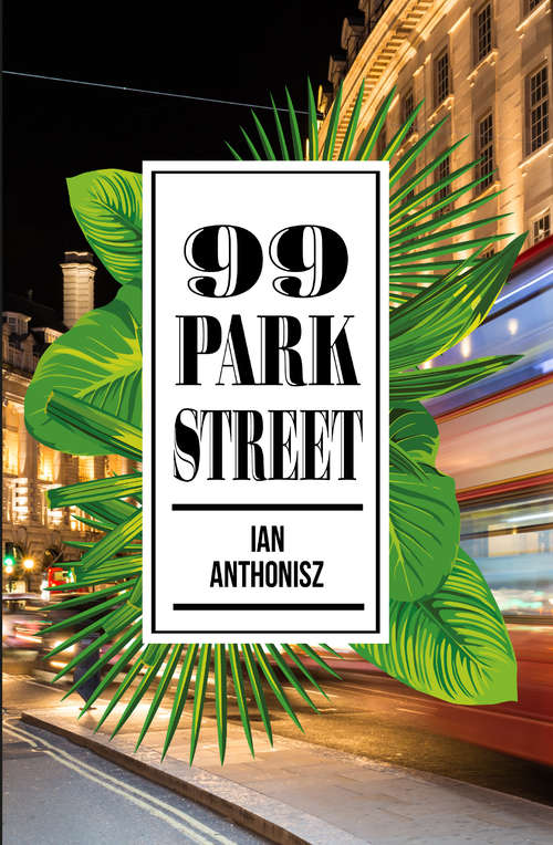 Book cover of 99 Park Street