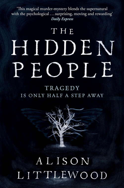 Book cover of The Hidden People