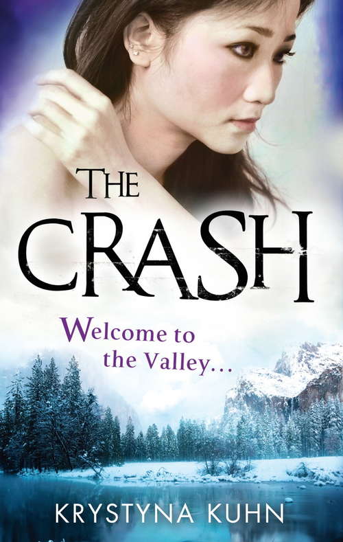 Book cover of The Crash: Number 2 in series (Valley #2)