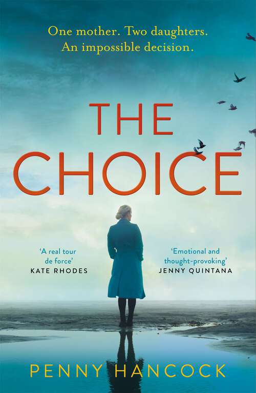 Book cover of The Choice: One mother. Two daughters. An impossible decision.