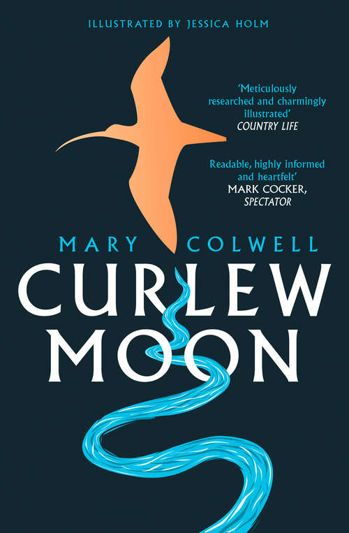 Book cover of Curlew Moon (ePub edition)