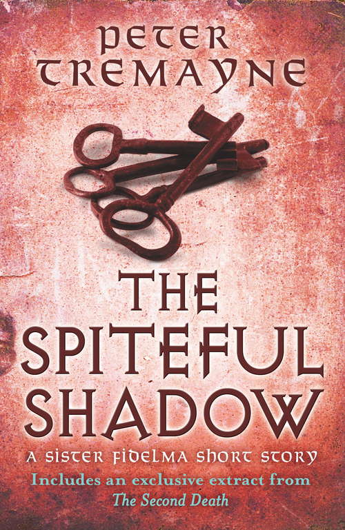 Book cover of The Spiteful Shadow (A Sister Fidelma e-novella)