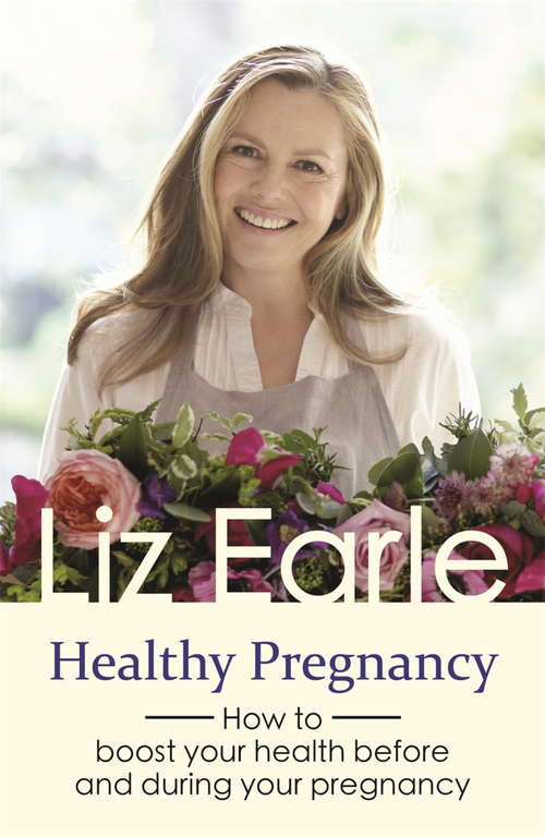 Book cover of Healthy Pregnancy: How to boost your health before and during your pregnancy (Wellbeing Quick Guides)