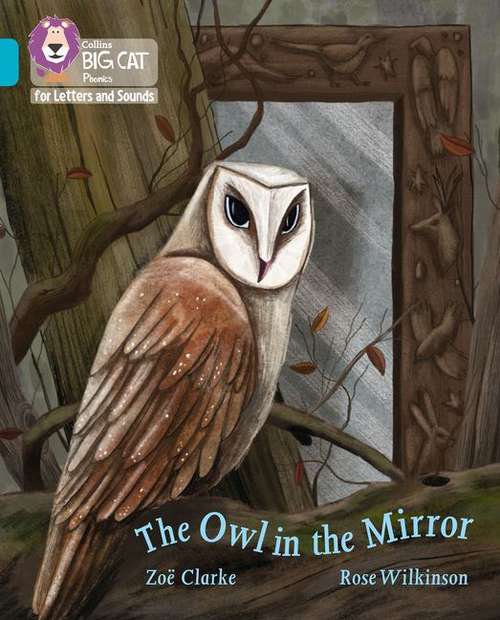 Book cover of The Owl in the Mirror: Band 07/turquoise (PDF) (Collins Big Cat Phonics For Letters And Sounds Ser.)