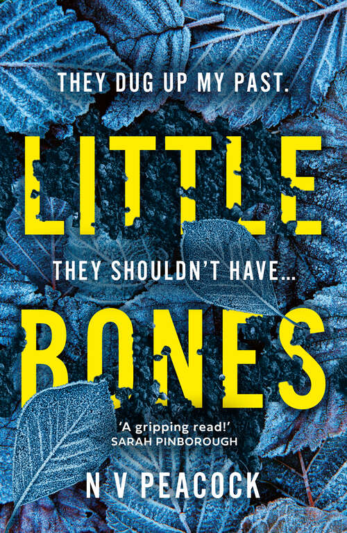 Book cover of Little Bones