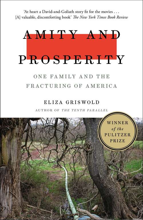 Book cover of Amity and Prosperity: One Family and the Fracturing of America - Winner of the Pulitzer Prize for Non-Fiction 2019