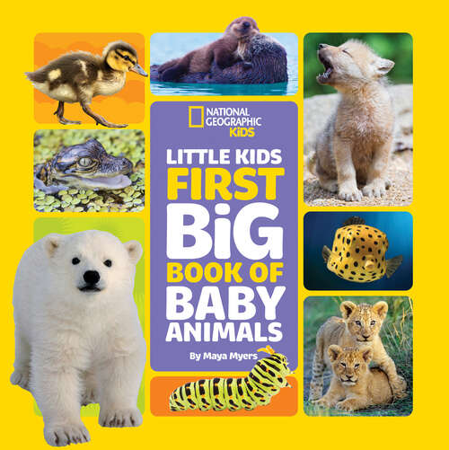 Book cover of Little Kids First Big Book of Baby Animals (ePub edition) (Little Kids First Big Books)