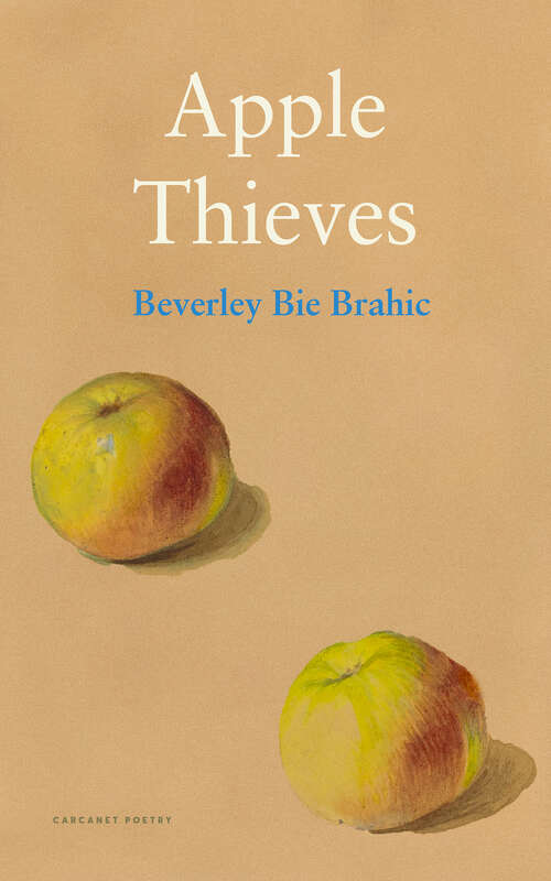 Book cover of Apple Thieves