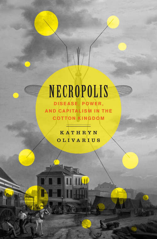 Book cover of Necropolis: Disease, Power, and Capitalism in the Cotton Kingdom