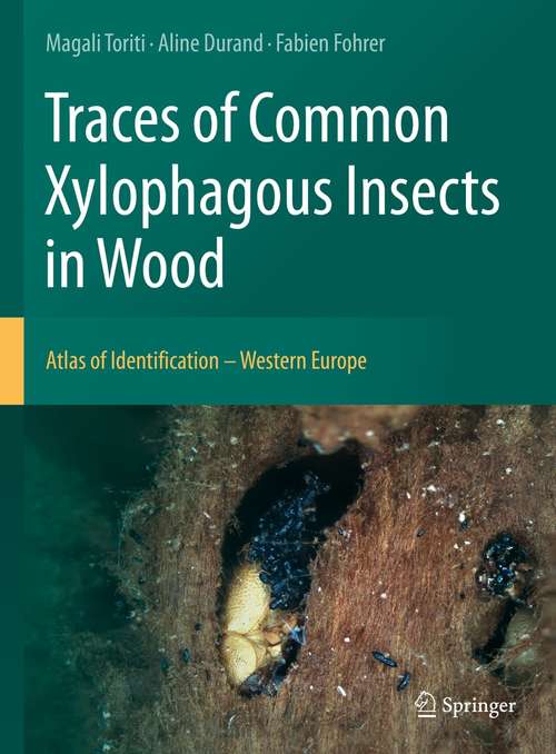 Book cover of Traces of Common Xylophagous Insects in Wood: Atlas of Identification - Western Europe (1st ed. 2021)