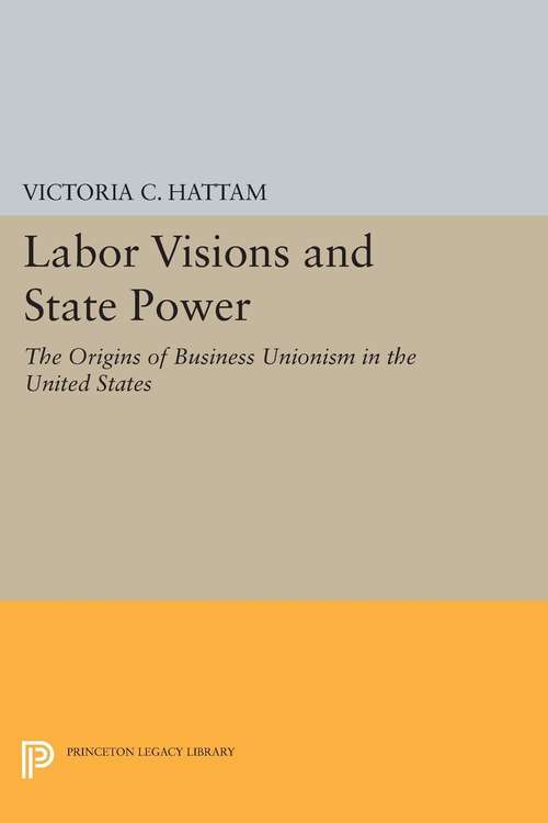 Book cover of Labor Visions and State Power: The Origins of Business Unionism in the United States