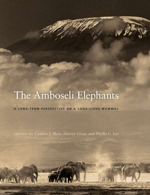 Book cover of The Amboseli Elephants: A Long-Term Perspective on a Long-Lived Mammal