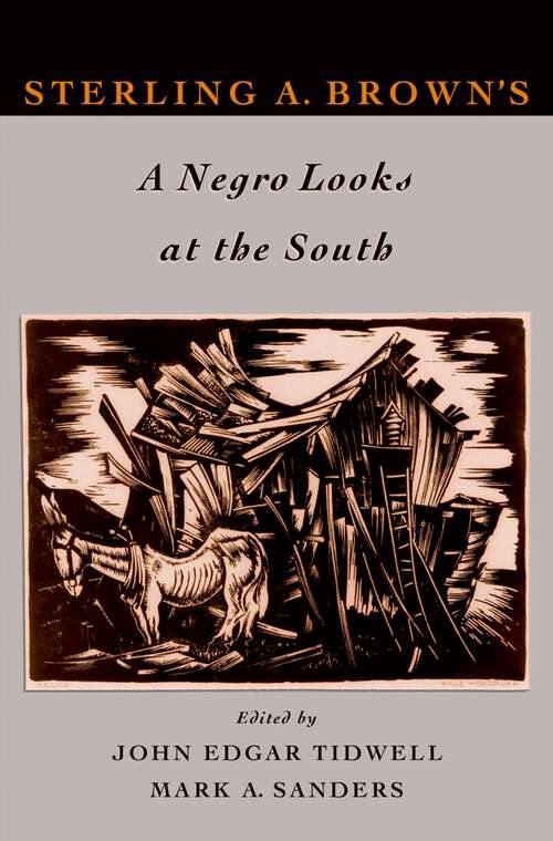 Book cover of Sterling A. Brown's A Negro Looks at the South