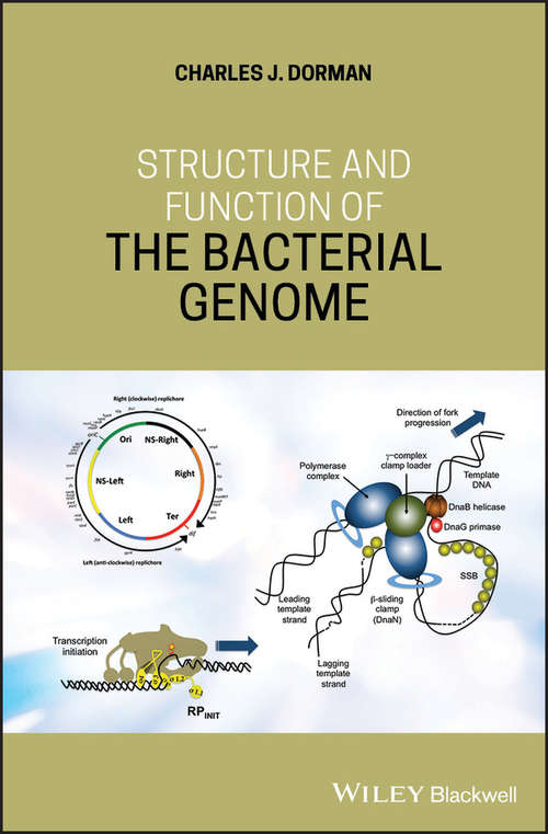 Book cover of Structure and Function of the Bacterial Genome