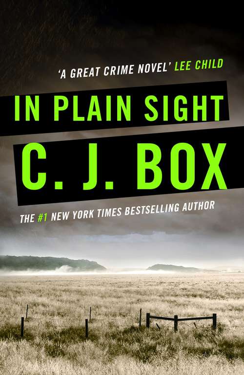 Book cover of In Plain Sight (Main) (Joe Pickett #6)