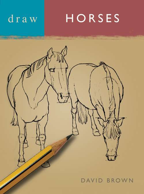 Book cover of Draw Horses (Draw Books)