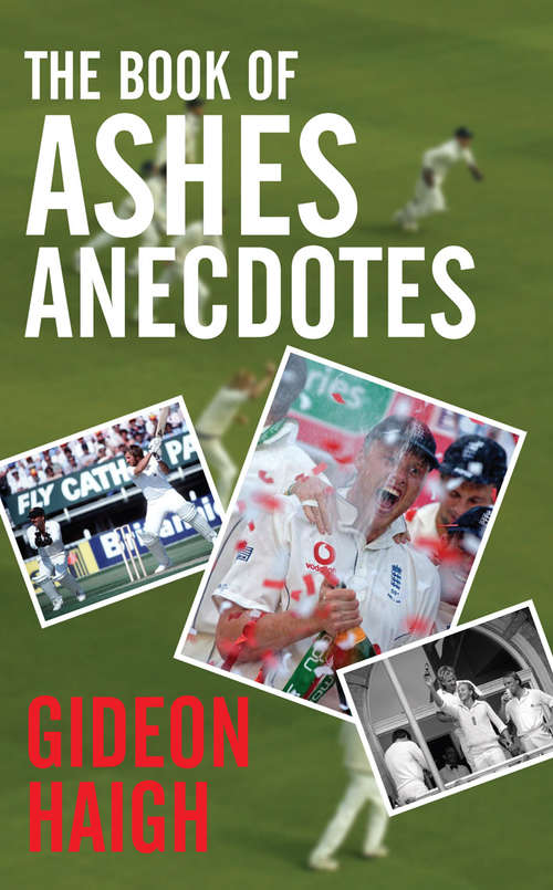 Book cover of The Book of Ashes Anecdotes