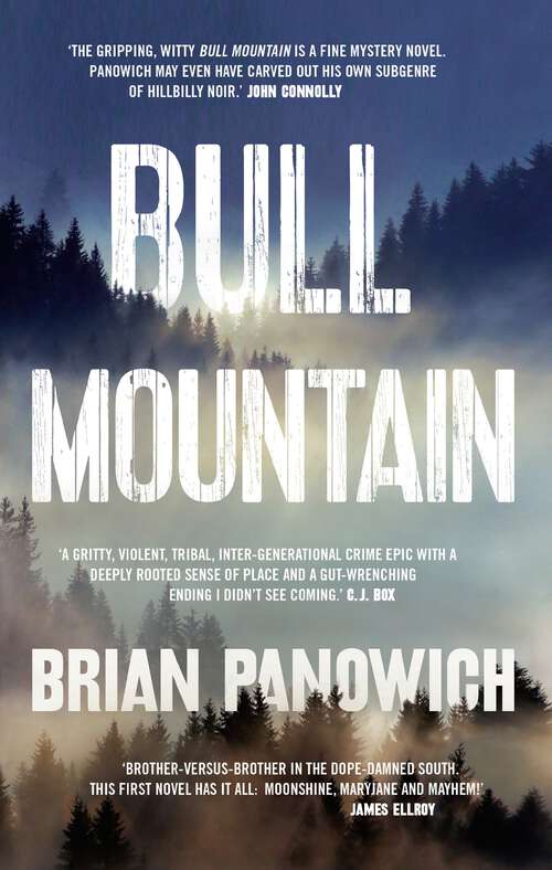 Book cover of Bull Mountain