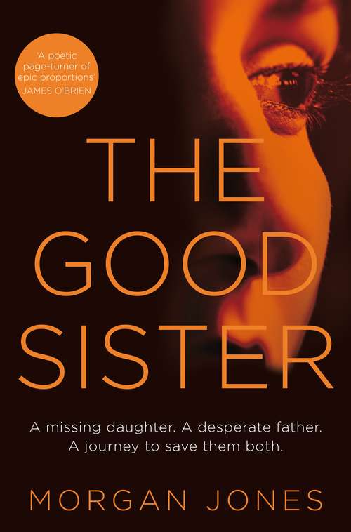 Book cover of The Good Sister