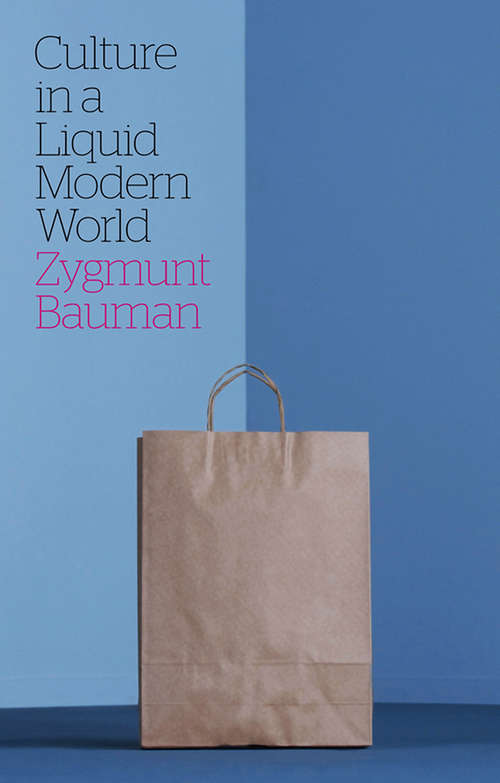 Book cover of Culture in a Liquid Modern World