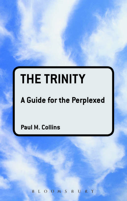 Book cover of The Trinity: A Guide For The Perplexed (Guides for the Perplexed #189)