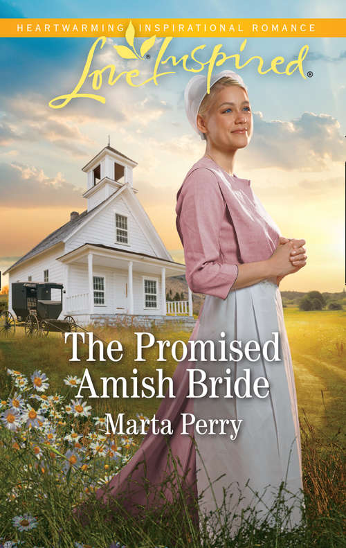 Book cover of The Promised Amish Bride: The Promised Amish Bride The Rancher's Unexpected Baby Their Family Blessing (ePub edition) (Brides of Lost Creek #3)