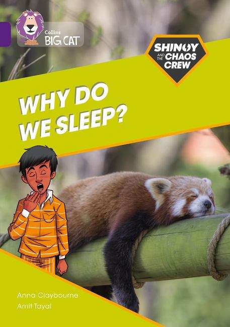 Book cover of Shinoy And The Chaos Crew: Why Do We Sleep?: Band 08/purple (collins Big Cat) (PDF) (Collins Big Cat Ser.)