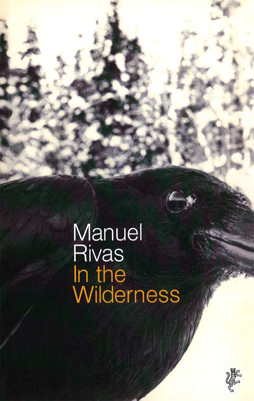 Book cover of In The Wilderness