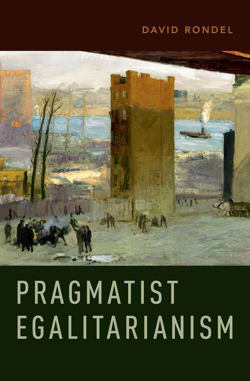 Book cover of Pragmatist Egalitarianism