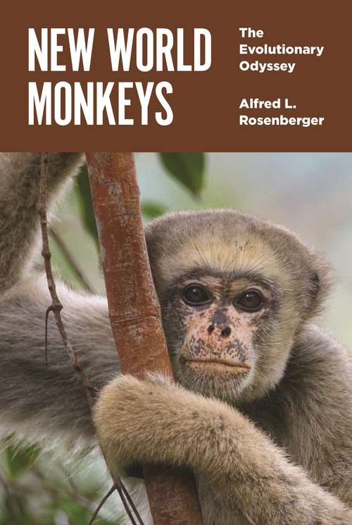 Book cover of New World Monkeys: The Evolutionary Odyssey