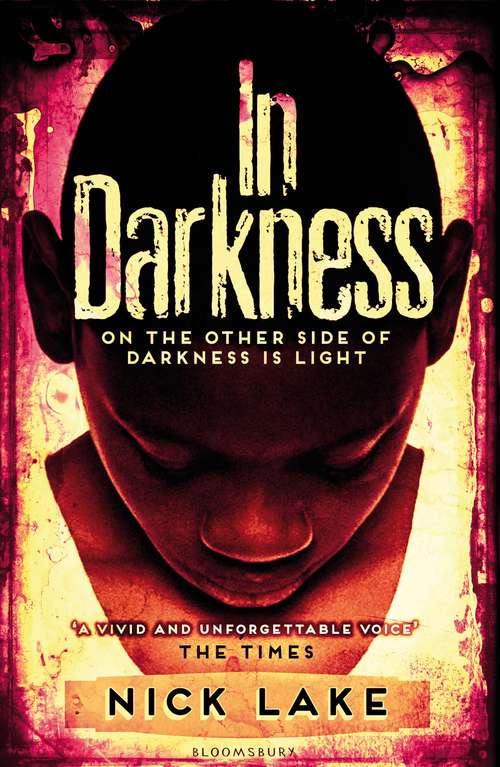 Book cover of In Darkness