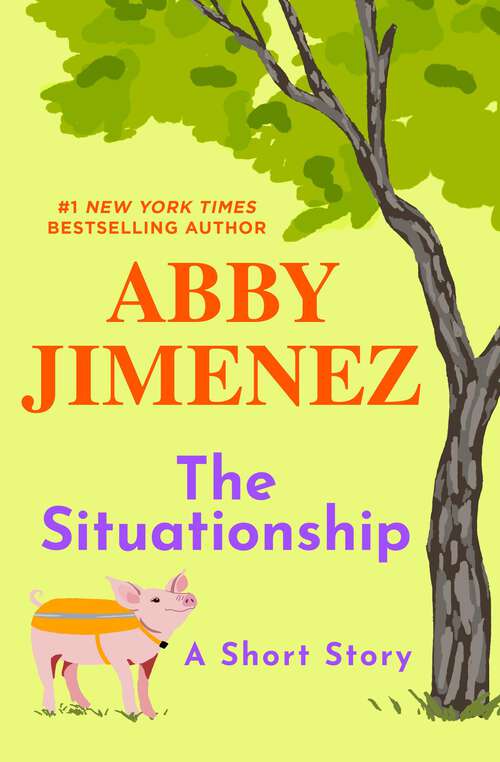 Book cover of The Situationship