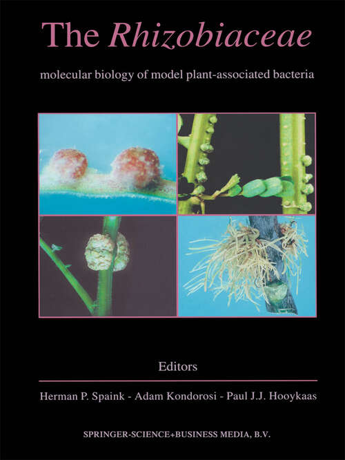 Book cover of The Rhizobiaceae: Molecular Biology of Model Plant-Associated Bacteria (1998)