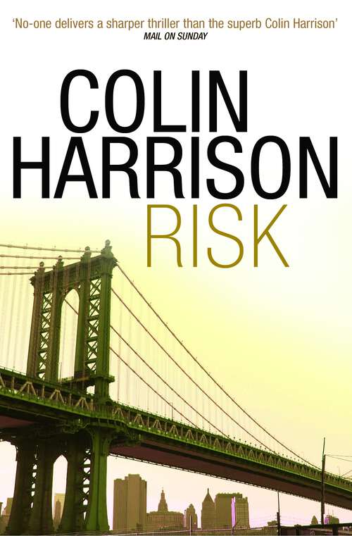 Book cover of Risk: A Novel