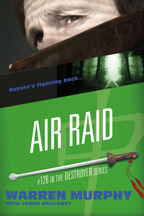 Book cover of Air Raid (The Destroyer)