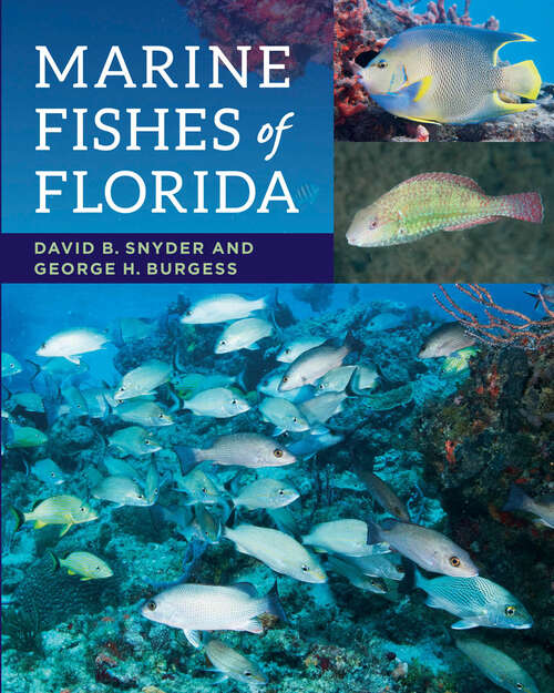 Book cover of Marine Fishes of Florida