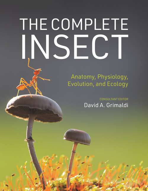 Book cover of The Complete Insect: Anatomy, Physiology, Evolution, and Ecology