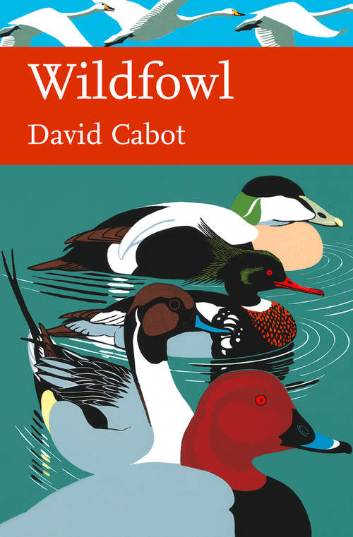 Book cover of Wildfowl (ePub edition) (Collins New Naturalist Library #110)